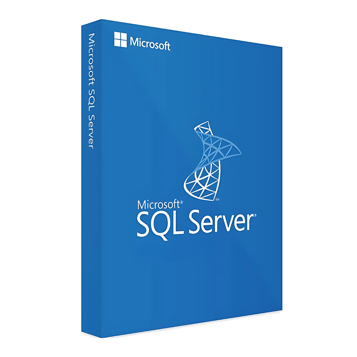 Windows Server 2025 Standard Digital + SQL Server 2025 Standard Digital