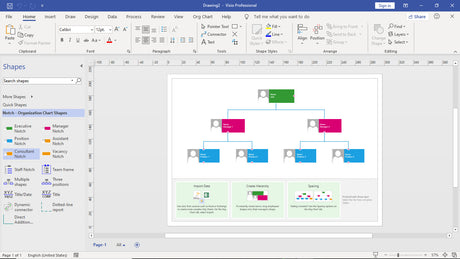 Visio Professional 2021 Físico