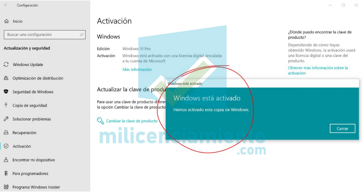 Windows 10 Professional Licencia Digital