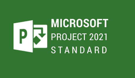 Project Standard 2021 Licencia Digital