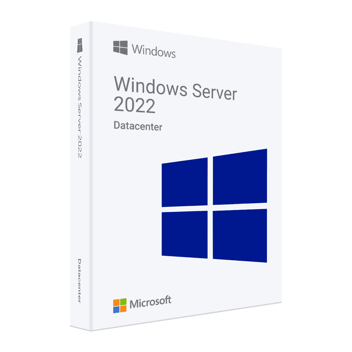 Windows Server 2022 Enterprise Digital