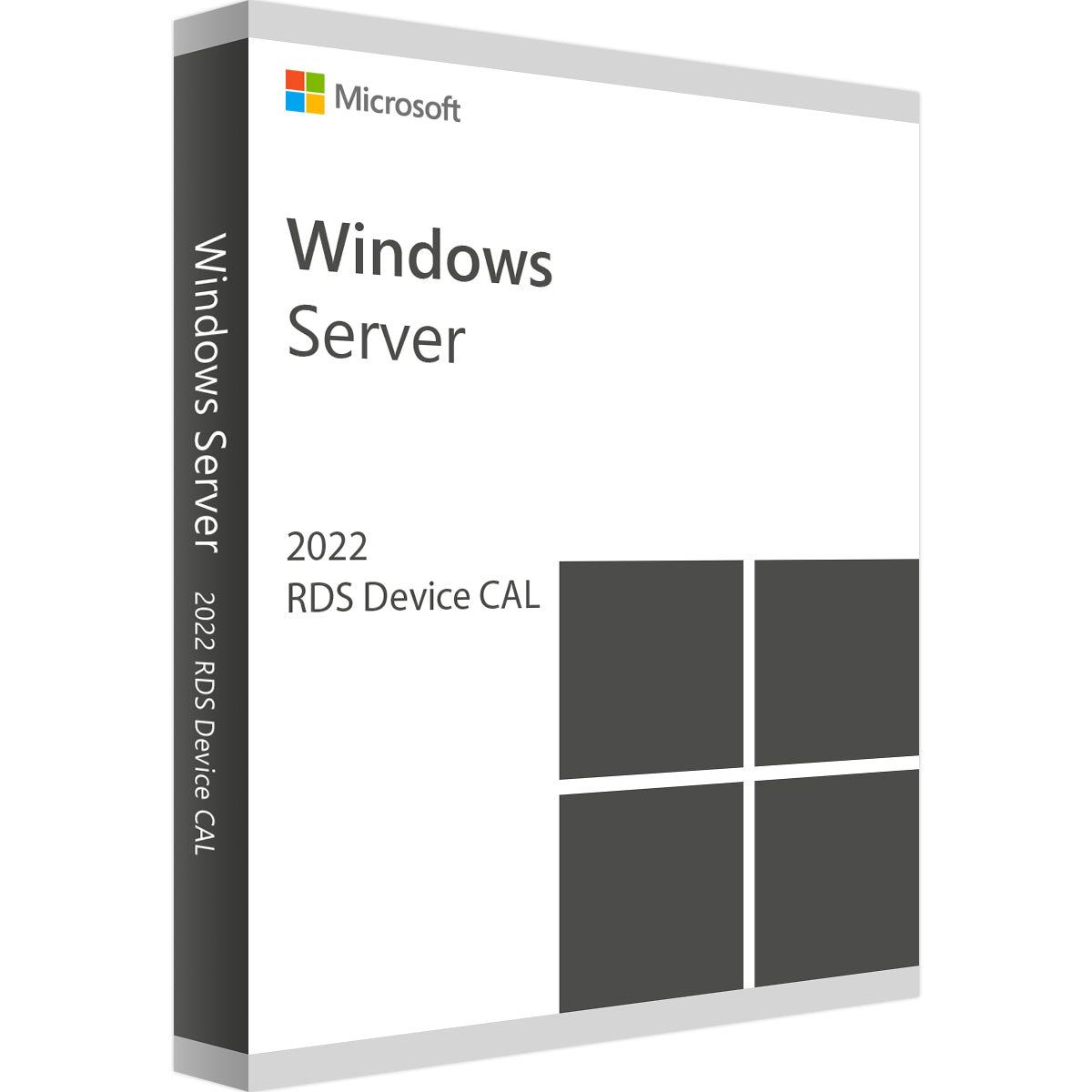 50 RDS CALS para Windows Server 2022 DIGITAL + Windows Server 2022 Sta ...